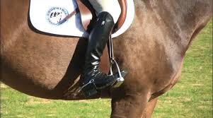 legs horseriding