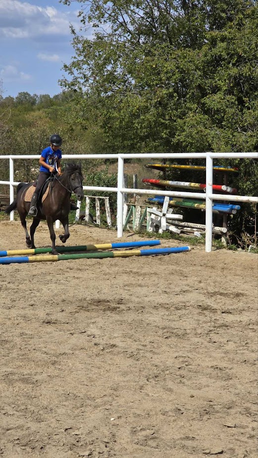 simona equestrian team